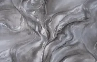 Թևավորություն 2 1615-10