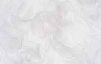Հեղուկ 2397-04