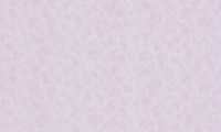 STATUS 9056-15