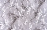Блеск 1594-10