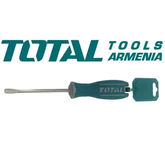 Տափակ պտուտակահան SL6.5x100մմ TSDRSSL6100
